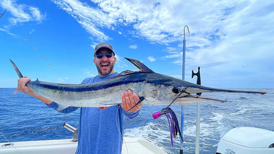 The Ultimate Guide to Fishing for Imperial Garfish
