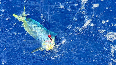 All’ombra dell’ultimo sole