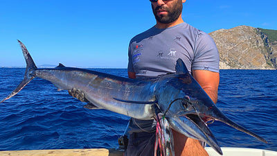 10 myths to dispel about imperial garfish trolling